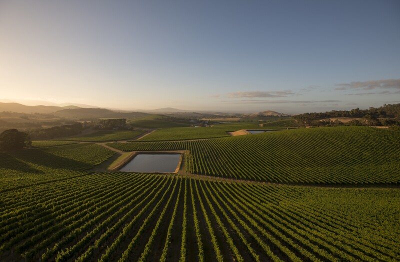 Scenes from Yarra Valley & Dandenong Ranges