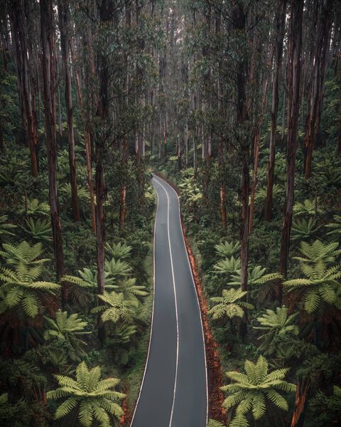 Scenes from Yarra Valley & Dandenong Ranges